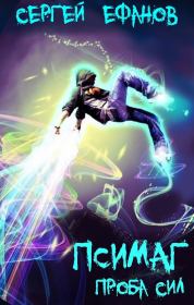 Проба Сил. Сергей Алексеевич Ефанов (Ollor)