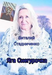 Книга - Яга Снегурочка.  Виталий Стадниченко  - прочитать полностью в библиотеке КнигаГо