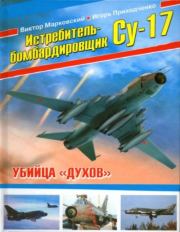 Истребитель-бомбардировщик Су-17. Убийца "духов". Виктор Юрьевич Марковский