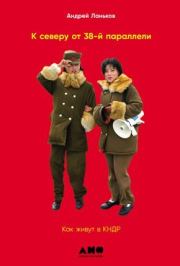 Не только кимчхи. История, культура и повседневная жизнь Кореи. Андрей Николаевич Ланьков