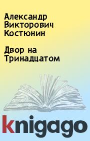 Книга - Двор на Тринадцатом.  Александр Викторович Костюнин  - прочитать полностью в библиотеке КнигаГо
