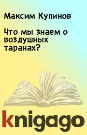 Книга - Что мы знаем о воздушных таранах?.  Максим Купинов  - прочитать полностью в библиотеке КнигаГо