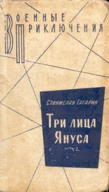 Книга - Несчастный случай.  Станислав Семенович Гагарин  - прочитать полностью в библиотеке КнигаГо