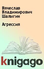 Агрессия. Вячеслав Владимирович Шалыгин