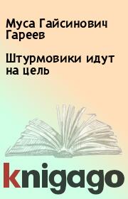 Книга - Штурмовики идут на цель.  Муса Гайсинович Гареев  - прочитать полностью в библиотеке КнигаГо