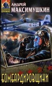 Бомбардировщики. Андрей Владимирович Максимушкин