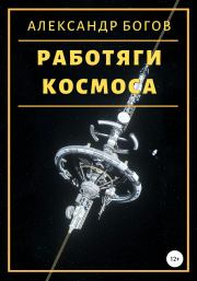 Книга - Работяги космоса.  Александр Богов  - прочитать полностью в библиотеке КнигаГо