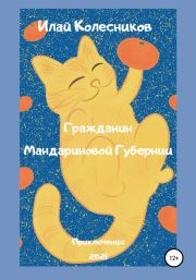 Книга - Гражданин Мандариновой Губернии.  Илай Колесников  - прочитать полностью в библиотеке КнигаГо