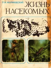 Жизнь насекомых. Павел Иустинович Мариковский