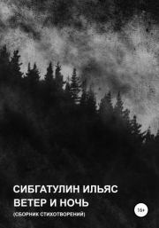 Книга - Ветер и ночь.  Ильяс Сибгатулин  - прочитать полностью в библиотеке КнигаГо