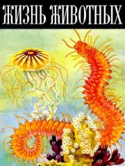 Жизнь животных. Том 1. Беспозвоночные. Лев Александрович Зенкевич