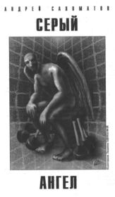 Книга - Серый ангел.  Андрей Васильевич Саломатов  - прочитать полностью в библиотеке КнигаГо