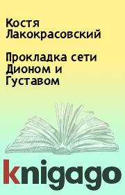 Прокладка сети Дионом и Густавом. Костя Лакокрасовский