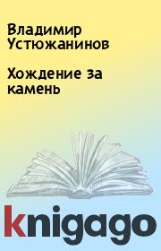 Книга - Хождение за камень.  Владимир Устюжанинов  - прочитать полностью в библиотеке КнигаГо