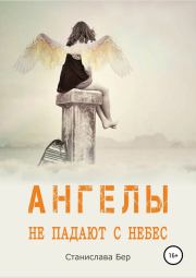Книга - Ангелы не падают с небес [СИ].  Станислава Бер  - прочитать полностью в библиотеке КнигаГо