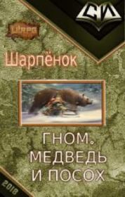 Книга - Гном, медведь и посох.  Андрей Павлович Олин (Шарпёнок)  - прочитать полностью в библиотеке КнигаГо