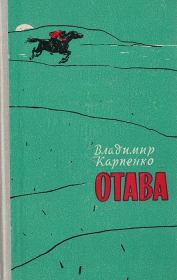 Книга - Отава.  Владимир Васильевич Карпенко  - прочитать полностью в библиотеке КнигаГо