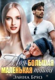 Моя большая маленькая тайна. Элина Бриз