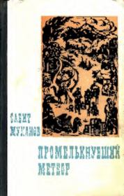 Книга - Промелькнувший метеор. Книга 1.  Сабит Муканович Муканов  - прочитать полностью в библиотеке КнигаГо