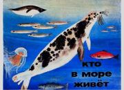 Кто в море живет. Коринна Германовна Претро (иллюстратор)