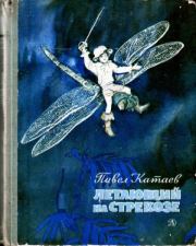 Пять Робинзонов. Павел Валентинович Катаев