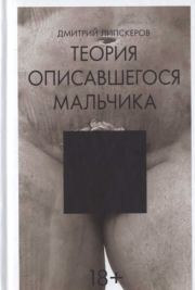 Книга - Теория описавшегося мальчика .  Дмитрий Михайлович Липскеров  - прочитать полностью в библиотеке КнигаГо