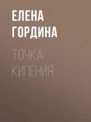 Точка кипения. Елена Владимировна Гордина