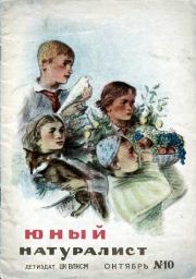 Юный натуралист 1938 №10. Журнал «Юный натуралист»