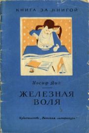 Книга - Железная воля.  Иосиф Иванович Дик  - прочитать полностью в библиотеке КнигаГо