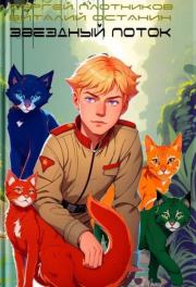 Звездный поток. Партизан. Сергей Александрович Плотников