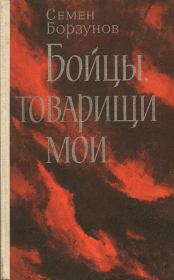 Книга - Бойцы, товарищи мои.  Семен Михайлович Борзунов  - прочитать полностью в библиотеке КнигаГо