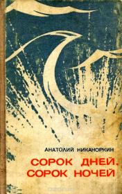 Книга - Сорок дней, сорок ночей.  Анатолий Игнатьевич Никаноркин  - прочитать полностью в библиотеке КнигаГо