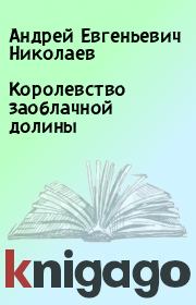 Книга - Королевство заоблачной долины.  Андрей Евгеньевич Николаев  - прочитать полностью в библиотеке КнигаГо