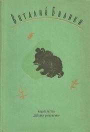 Книга - Рассказы и сказки 1972.  Виталий Валентинович Бианки  - прочитать полностью в библиотеке КнигаГо