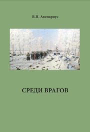 Книга - Среди врагов.  Василий Петрович Авенариус  - прочитать полностью в библиотеке КнигаГо