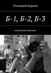 Книга - Б-1, Б-2, Б-3. неженский нероман.  Геннадий Карпов  - прочитать полностью в библиотеке КнигаГо