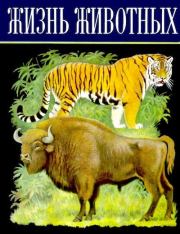 Книга - Жизнь животных. Том 6. Млекопитающие, или звери.  Лев Александрович Зенкевич  - прочитать полностью в библиотеке КнигаГо