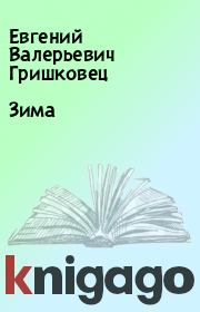 Книга - Зима.  Евгений Валерьевич Гришковец  - прочитать полностью в библиотеке КнигаГо