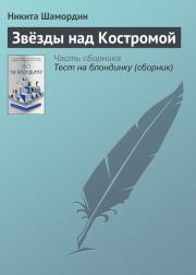Книга - Звёзды над Костромой.  Никита Шамордин  - прочитать полностью в библиотеке КнигаГо