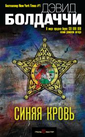 Синяя кровь. Дэвид Балдаччи