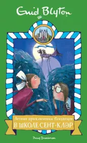 Книга - Летние приключения близнецов в школе Сент-Клэр.  Энид Блайтон  - прочитать полностью в библиотеке КнигаГо