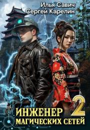Инженер магических сетей 2. Сергей Витальевич Карелин
