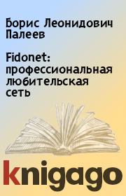 Книга - Fidonet: профессиональная любительская сеть.  Борис Леонидович Палеев  - прочитать полностью в библиотеке КнигаГо