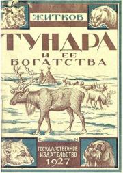 Книга - Тундра и ее богатства.  Борис Михайлович Житков  - прочитать полностью в библиотеке КнигаГо