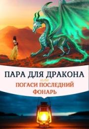 Книга - Пара для дракона, или погаси последний фонарь.  Алиса Чернышова  - прочитать полностью в библиотеке КнигаГо