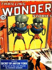 Секрет Антона Йорка (ЛП). Эндо Биндер