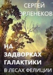Книга - В лесах Фелиции.  Сергей Сергеевич Эрленеков  - прочитать полностью в библиотеке КнигаГо