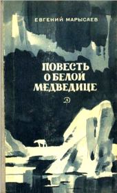 Книга - Повесть о белой медведице. Пират.  Евгений Клеоникович Марысаев  - прочитать полностью в библиотеке КнигаГо