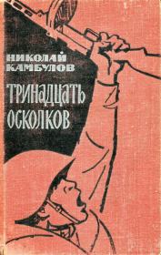 Книга - Тринадцать осколков.  Николай Иванович Камбулов  - прочитать полностью в библиотеке КнигаГо