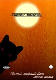 Книга - Самый жаркий день моего кота.  Надир Юматов  - прочитать полностью в библиотеке КнигаГо